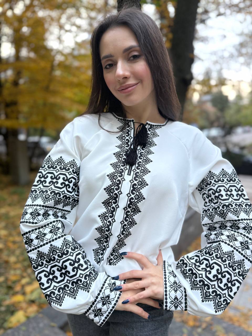 Embroidered Geometric Blouse