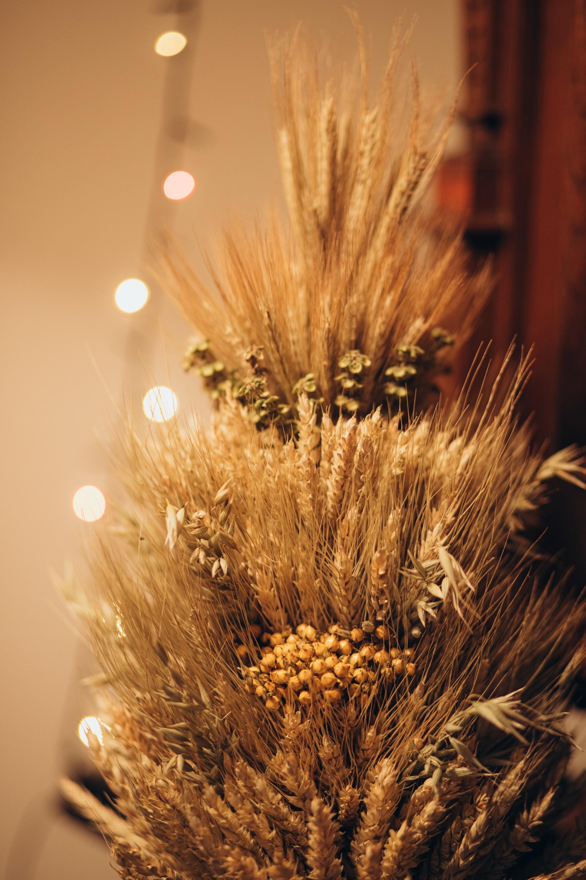 Ukrainian Didukh Wheat Sheaf | Handmade Christmas Table Decor | Natural Mix: Wheat, Flax, Oats, Rye & Thyme | Prosperity Symbol 55 cm